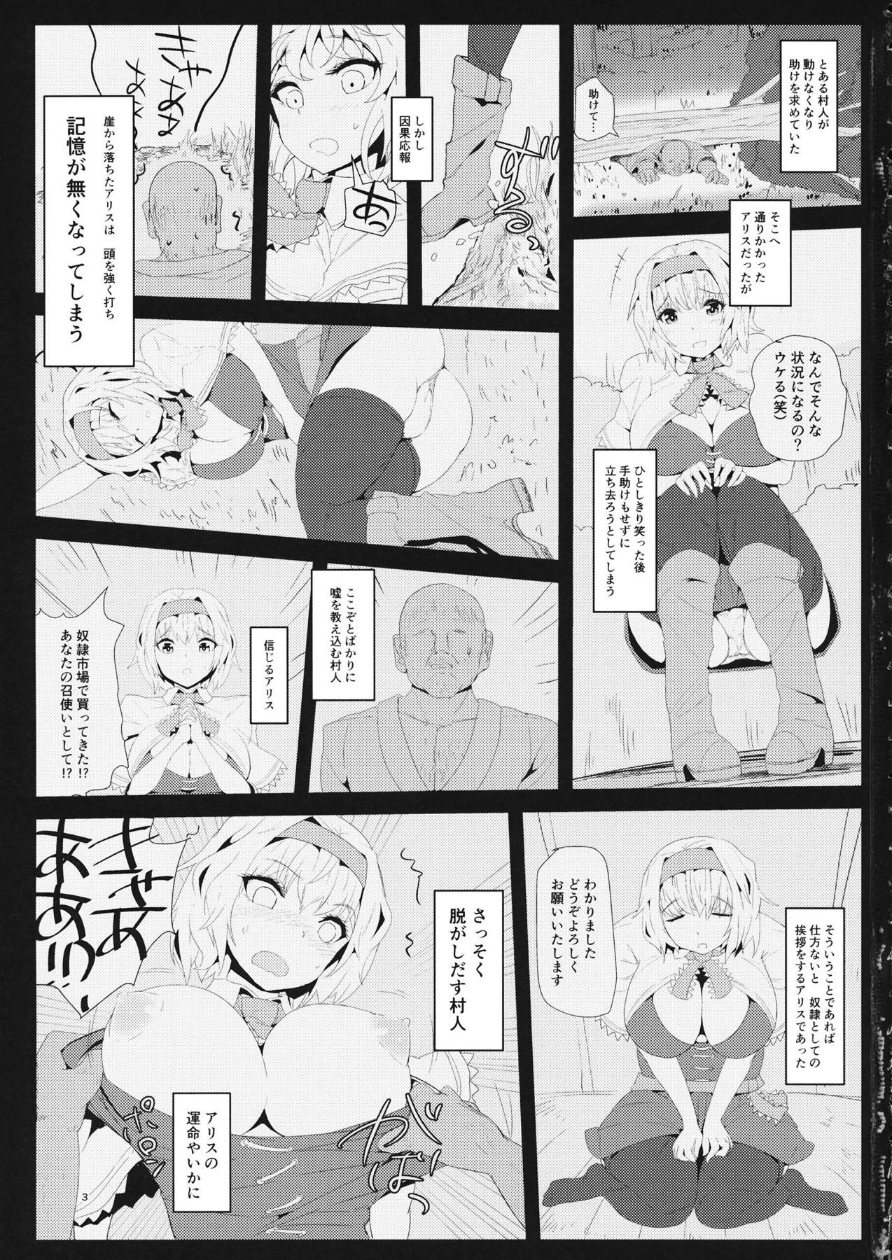 【エロ同人誌】(例大祭14)記憶喪失になって百姓の女中になったアリス…主人の命令に逆らえずに毎日犯されて種付け中出し陵辱レイプ 【かいず：記憶喪失アリス 百姓奴隷性活】