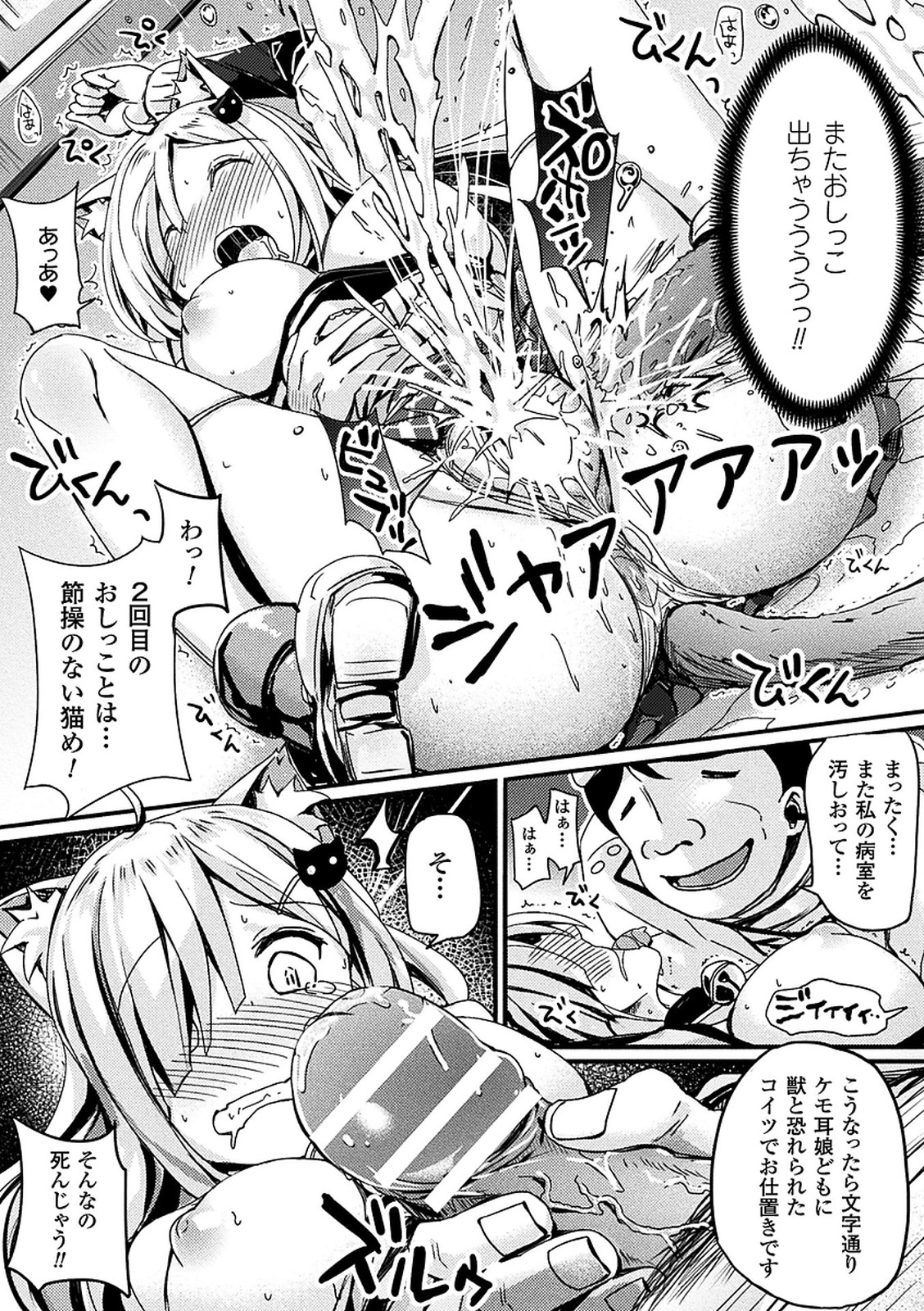 【エロ漫画】動物愛護のチラシを置いてもらうため動物病院を訪れた巨乳の猫耳娘…襲ってきた先生にマタタビ注射を打たれ助けられても疼きが止まらず何度も中出しセックス【ぶんぼん:祢子ちゃんの動物愛護襲姦】